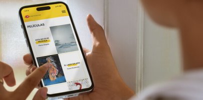 Realizacja strony internetowej dla Instytutu Polskiego w Madrycie